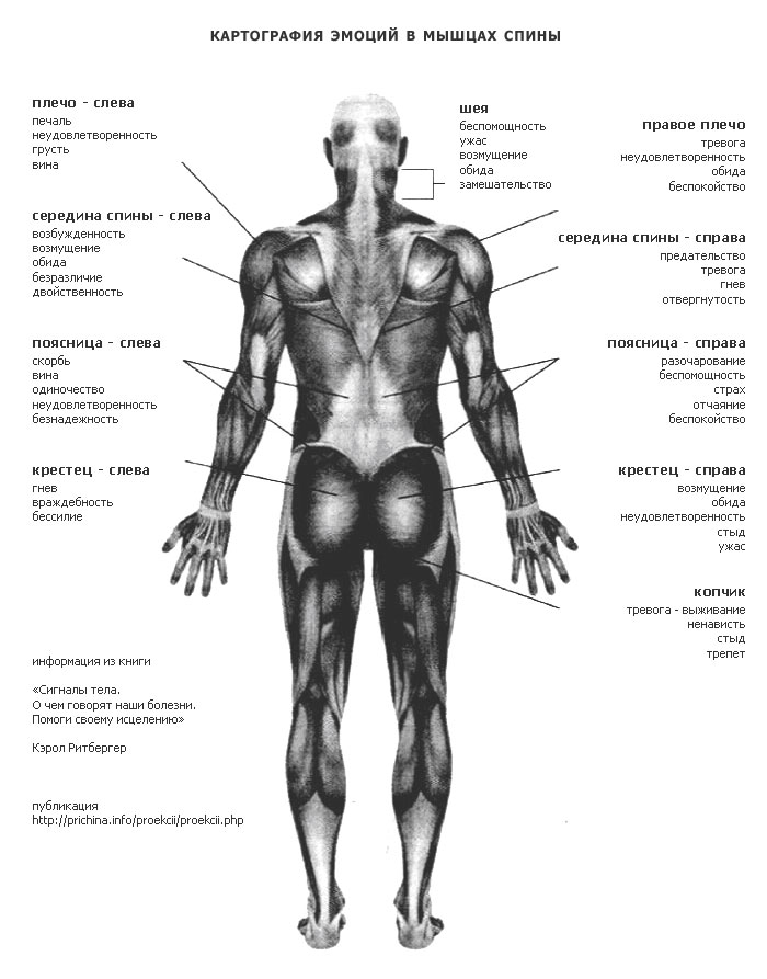 Карта эмоций на теле